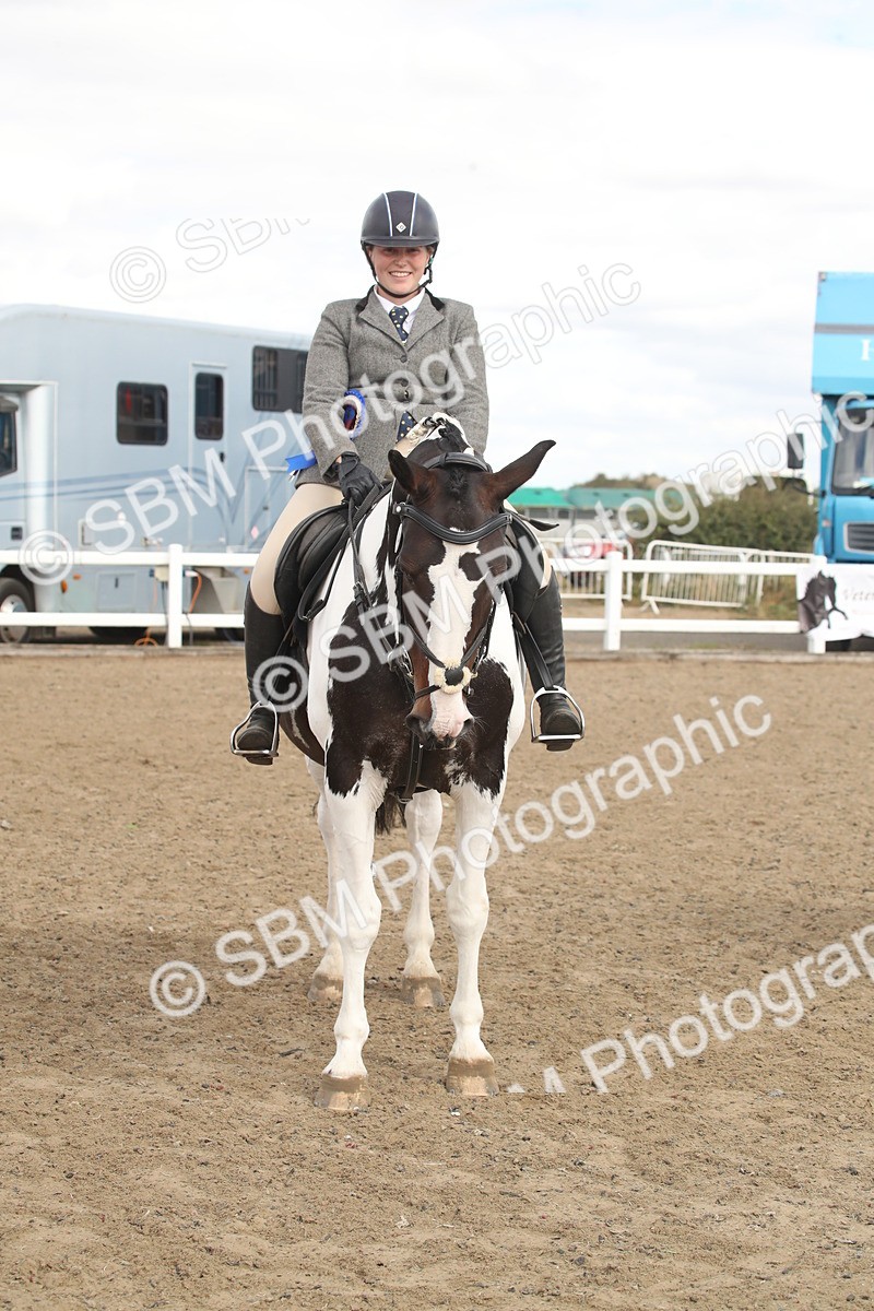 SBM_15248 - Class 506a - Working Veteran - 50cm (15-19)