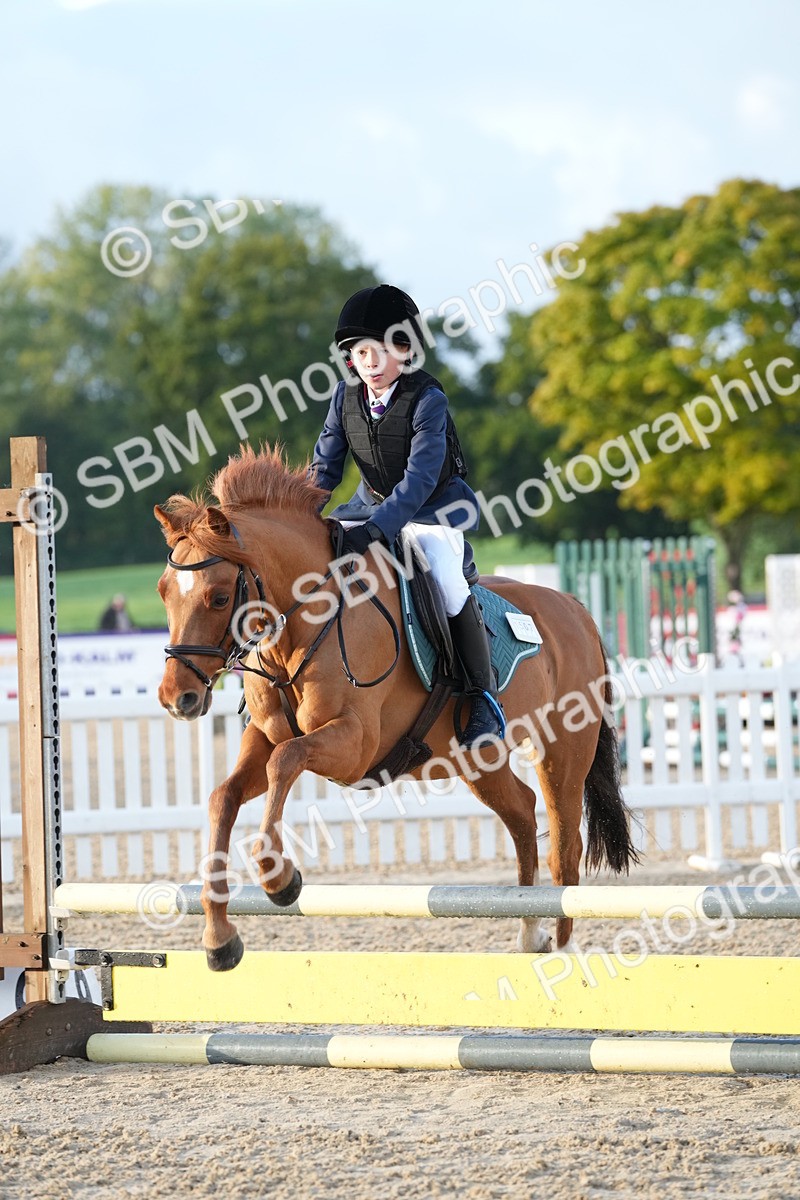 SBM_32148 - J5 - Junior Pony 50cm Championship