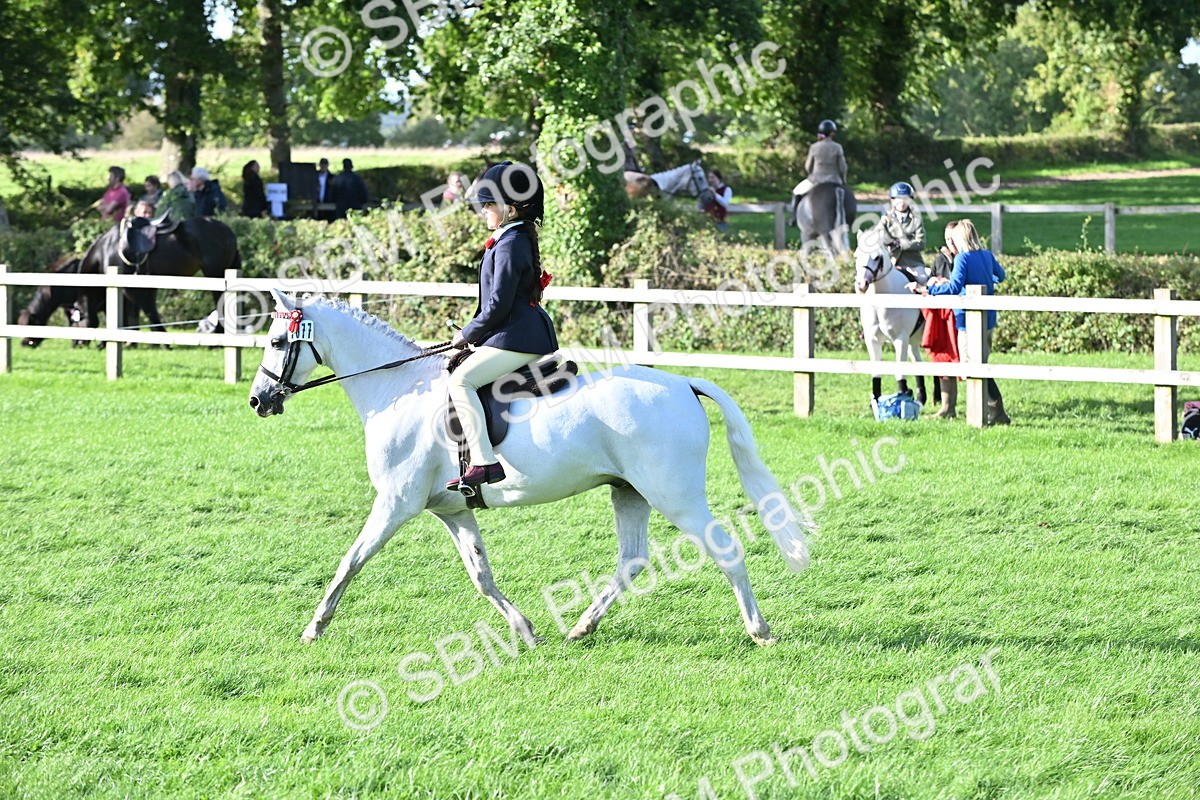 SBM_51222 - S22 - First Ridden show and show Hunter Pony