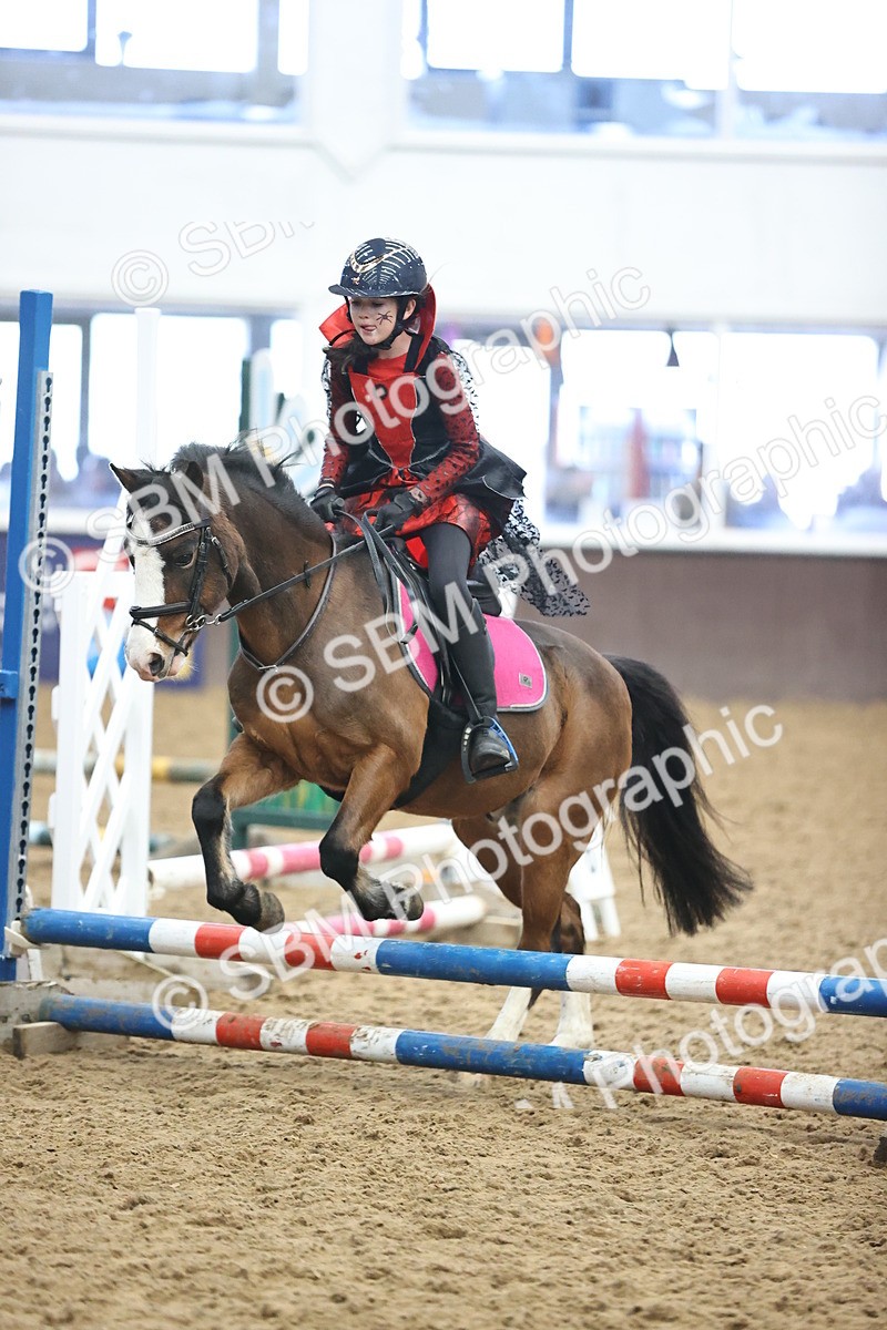 SBM_000690 - Class 2 - Show Jumping 50cm