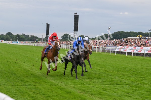 270724-Race 1-Alflaila-7007 - Race 3 3.15pm Sky Bet York Stakes