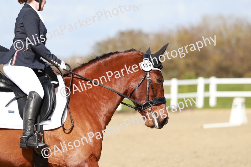 20260314-2877 - DR3 - Prelim 1