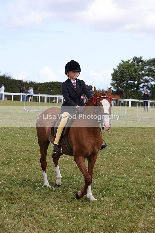 1X9A3916 - Class 31: Show Pony 148cm and under