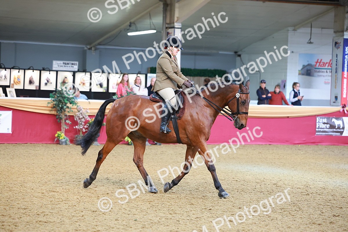 SBM_09505 - Class 102 - HOYS Veteran Qualifier - Ridden Veteran