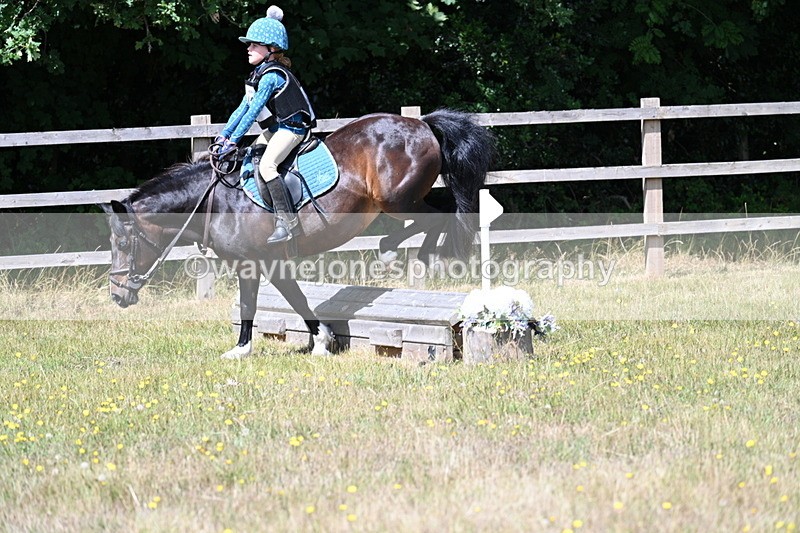 WJ7_0202 - 40cm Time 11:47 to 12:01