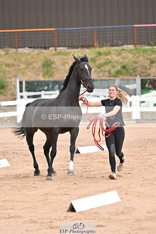 250716-151411-01800 - Trot Up 2.30 to 3.30