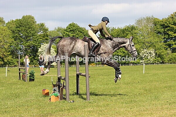 IMG_4850 - Working Hunter