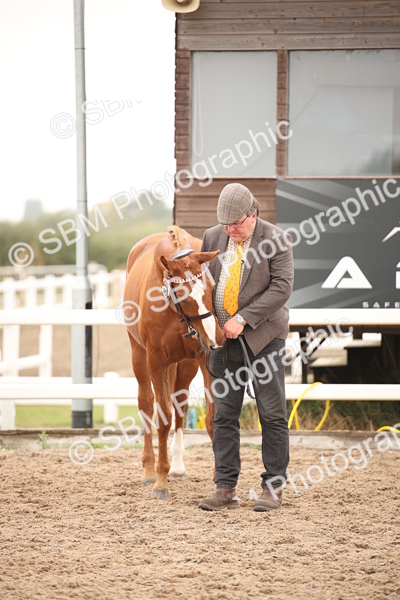 SBM_22153 - Class 707 - Ridden Groom-Helpers Class