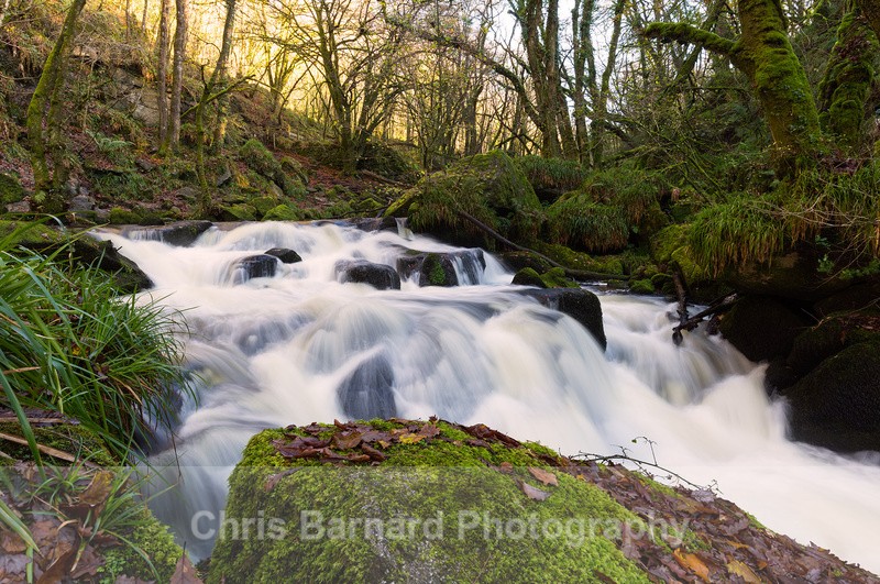  - Golitha Falls