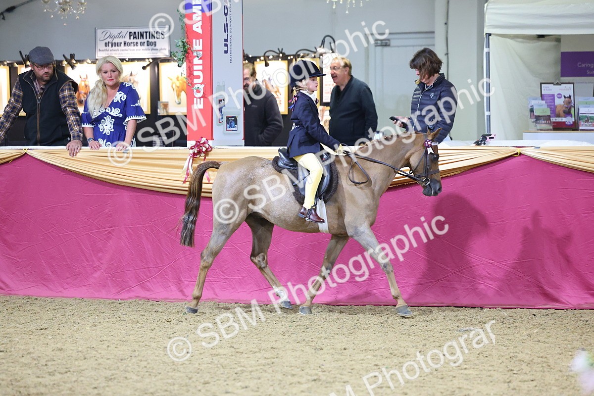 SBM_18879 - Class F Grass Roots Champ