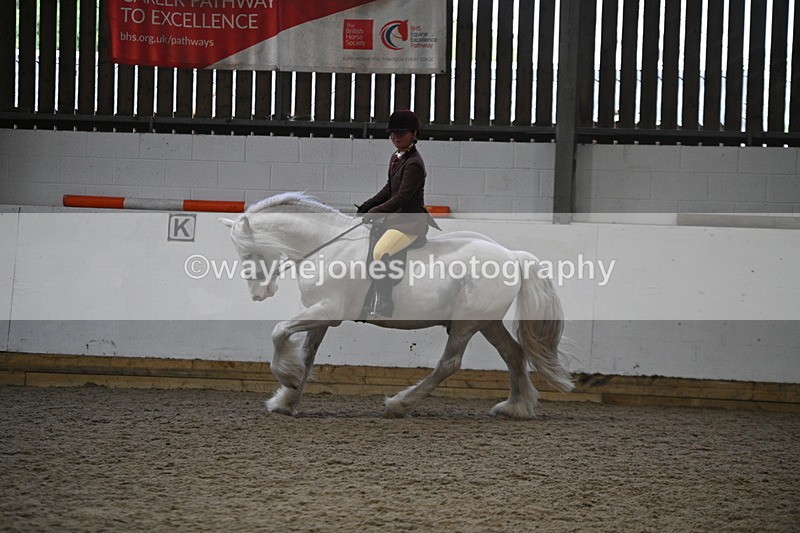 WJ7_4179 - Class 17 Ridden Cob