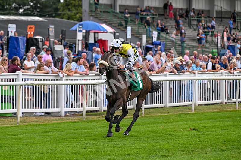 010726-Race 2-Arapaho Gold-7767 - Race 2 13.38pm British EBF Restricted Novice Stakes (Div II)