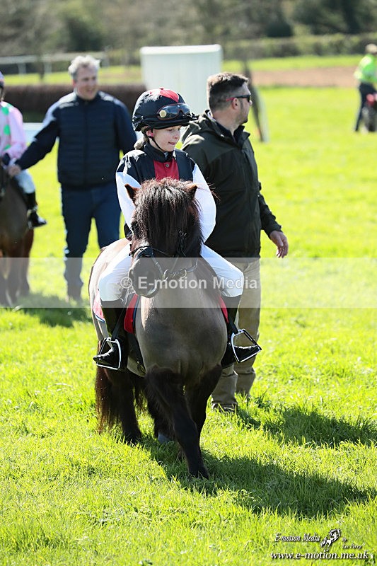 Shet 060426 352 - Shetland Pony Racing Paxford Races Easter Mon 06/04/26