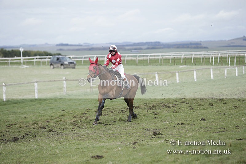 PtP 150320 0664 - New Forest Point-to-Point Larkhill 15/03/20
