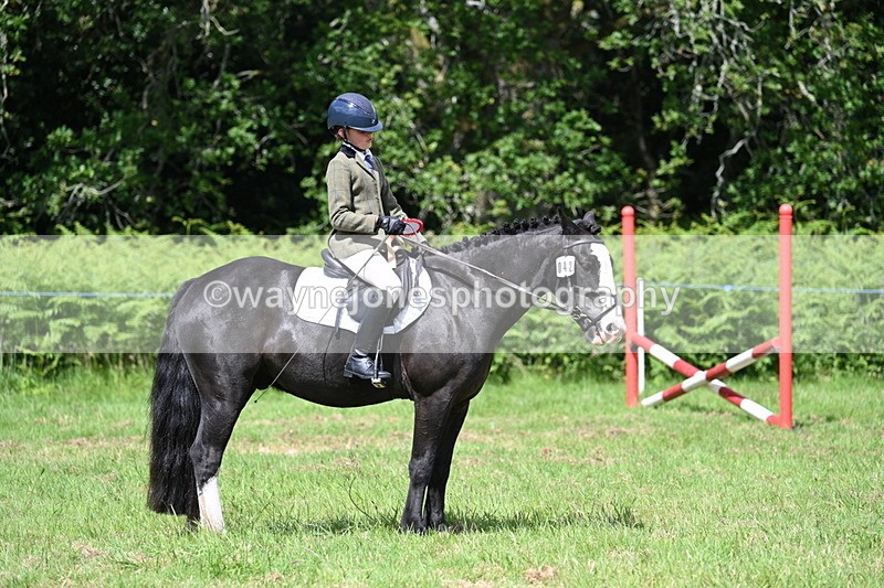 WJ7_1799 - Class 9 Pony Club Pony