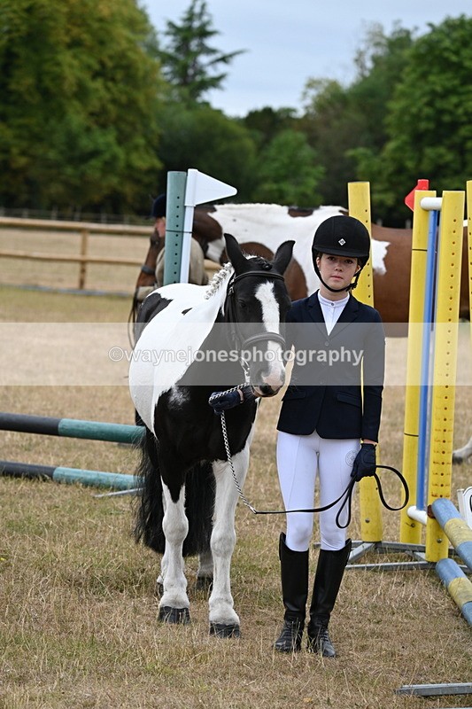 WJ6_8176 - Class 10 Coloured in Hand