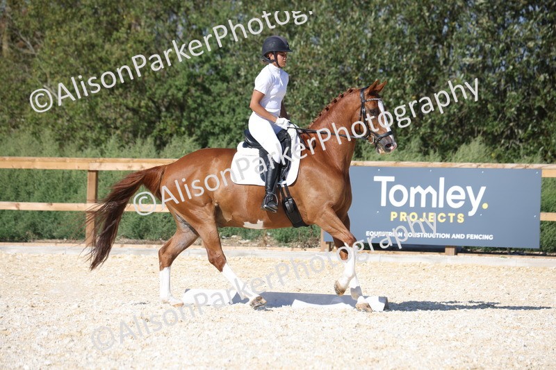 20260905-1541 - Class 5 - Novice 2