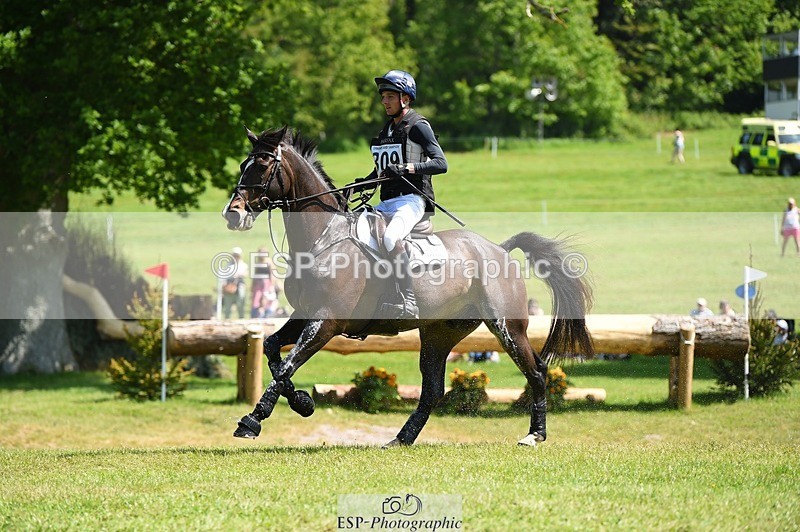 230527-113036-09179 - 309-PLOT_TWIST_B-Tom_Jackson-XC