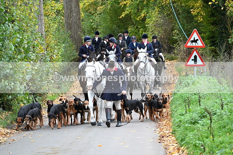 WJ7_7153 - Walk Home..