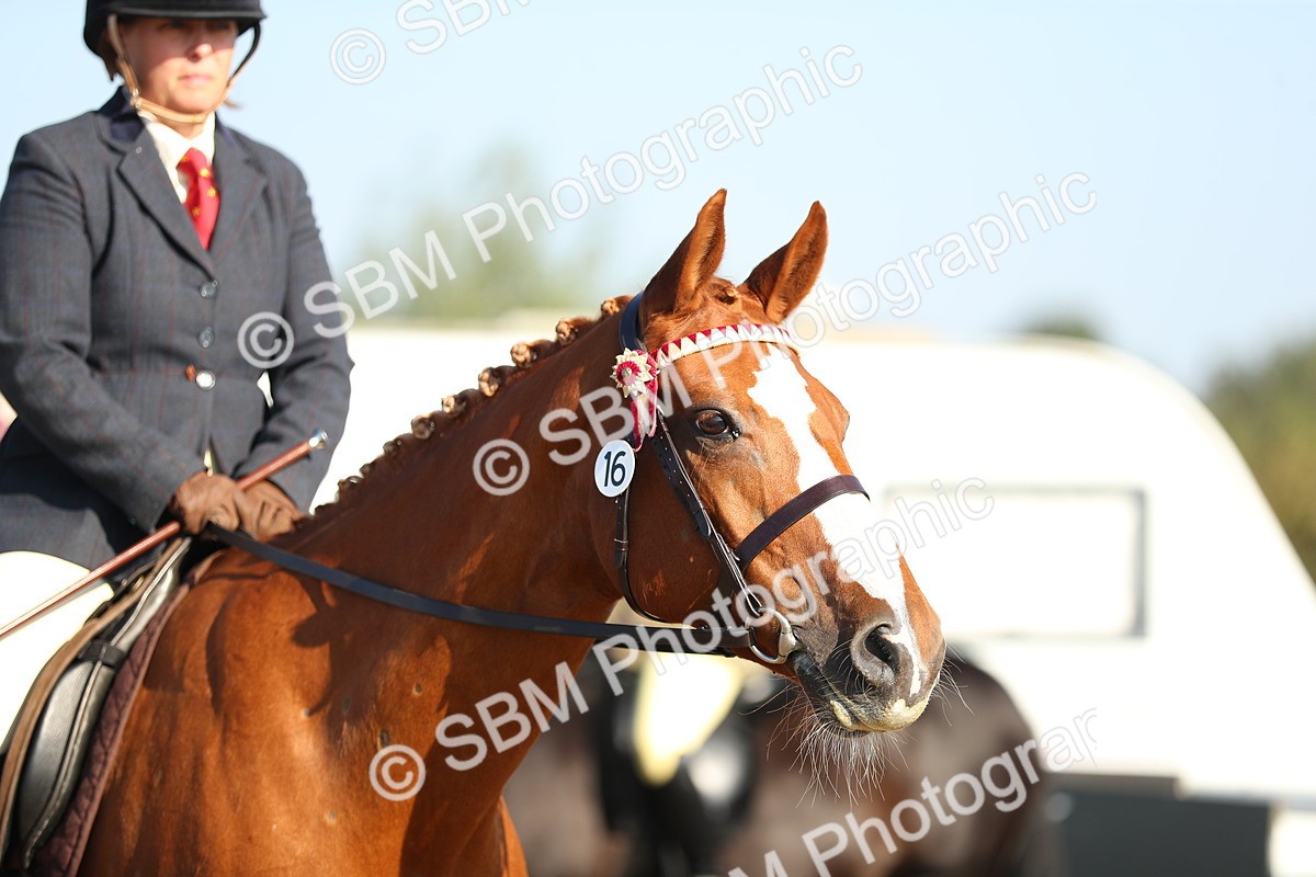 SBM_00448 - Class 41 Best Turned Out Ridden