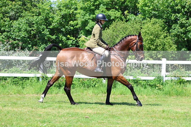 3E7A7193 - Class 30: Novice Working Hunter