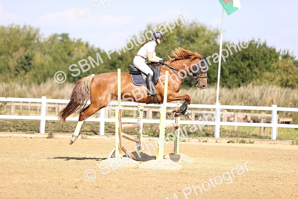 SBM_005641 - Class 9 - Senior British Novice - 90cm