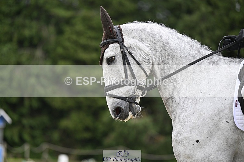 000101-215818-04505 - 404-DEERPAIRC_REVELRY-Max_Warburton