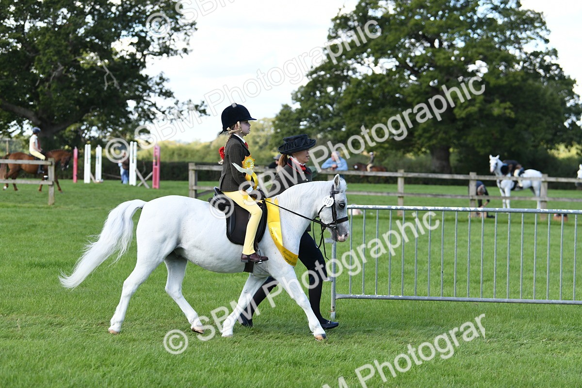 SBM_39706 - S18 - Novice & Newcomers Lead Rein Pony