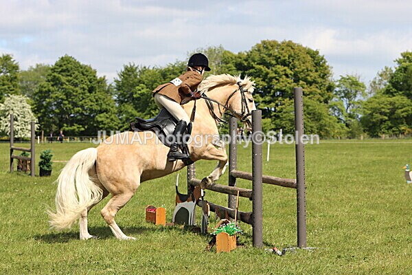 IMG_4246 - Working Hunter