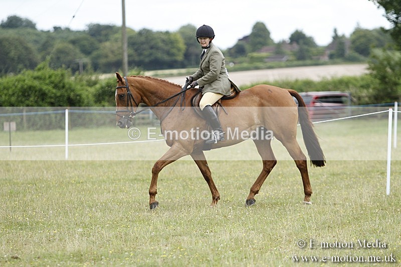 BVR160717-2225 - Ring 3 BVRC Show 16/07/17