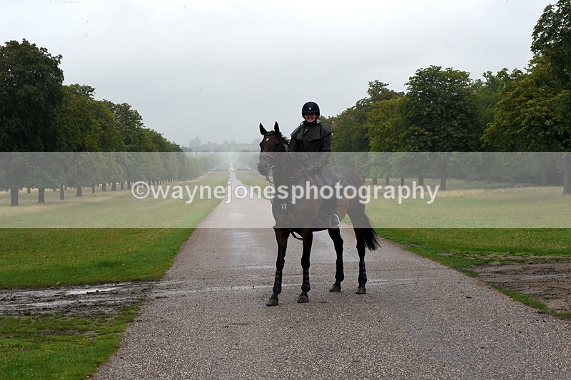 TT3_8347 - Time at Crossing 10:16 to 11:38