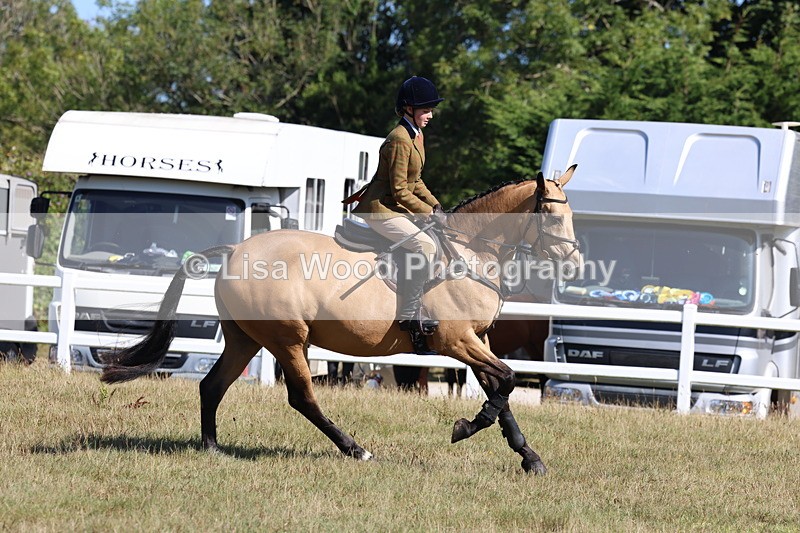 3E7A5797 - Class 5: Working Hunter 90cm