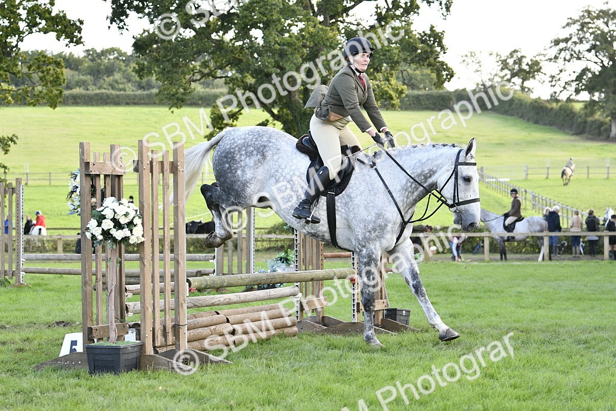 SBM_52166 - S35 - Working Hunter & Working Show Horse