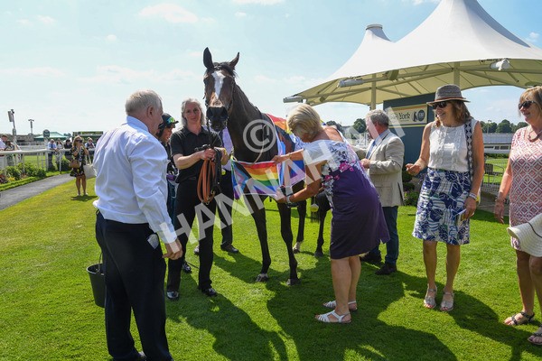 160623-Race 3-Radio Goo Goo-0220 - Race 3 3.00pm British EBF Supporting Racing With Pride Fillies' Handicap