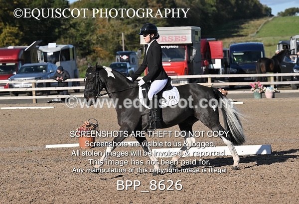 BPP_8626 - LONG ARENA