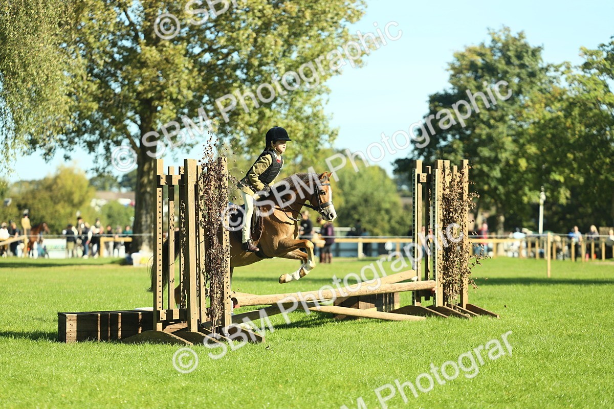 SBM_37413 - S29 - Novice & Newcomers Working Hunter Pony