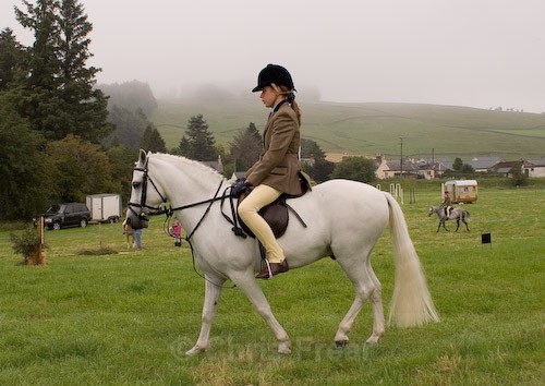 7 - Moniaive Horse Show 2008