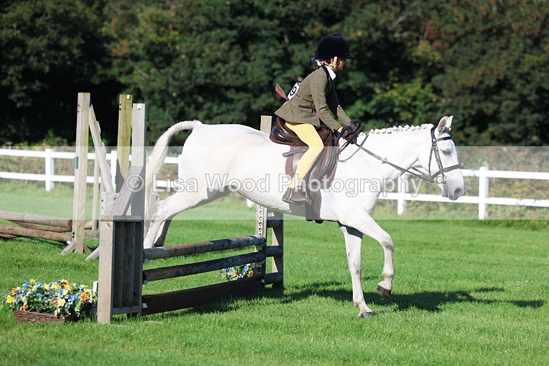 3E7A7512 - Class 1: Novice Working Hunter Pony