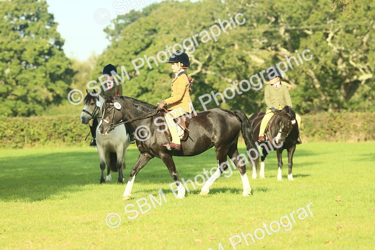 SBM_59186 - S38 - Starters Ridden Showing