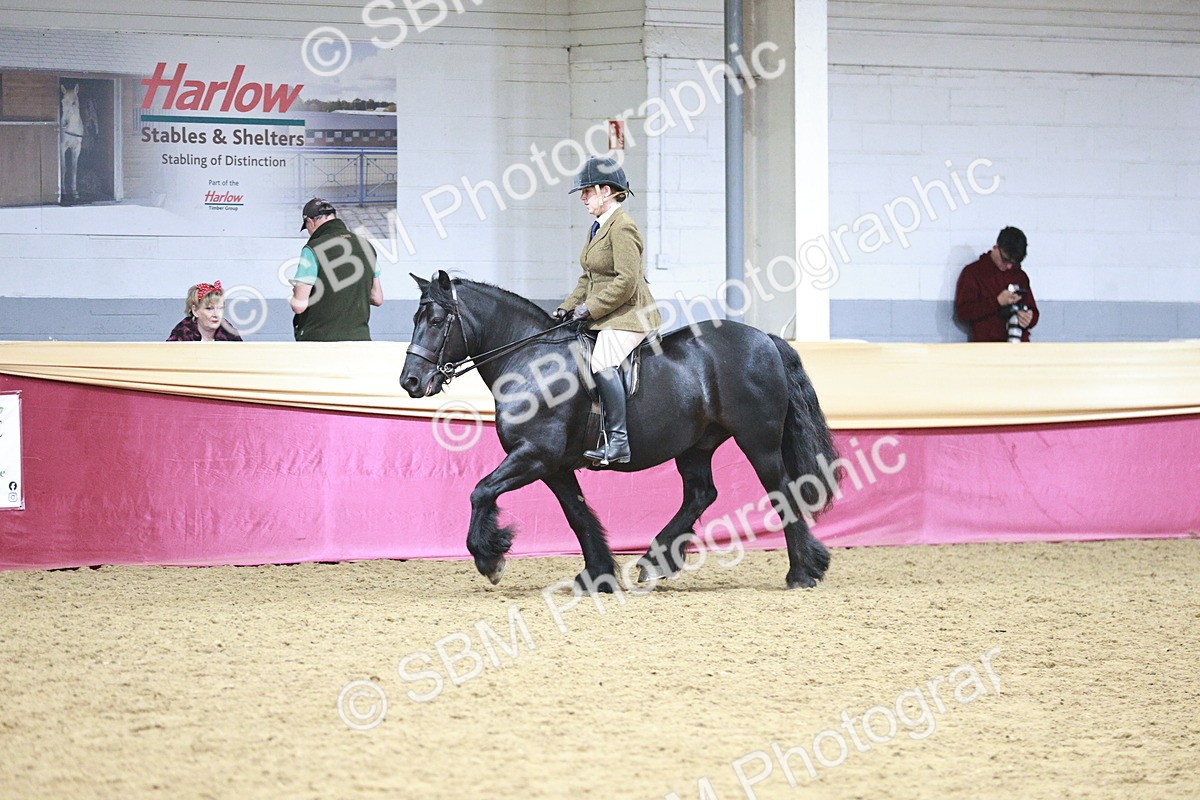 SBM_09038 - Class 12R - Regional Ridden Pre-Vet