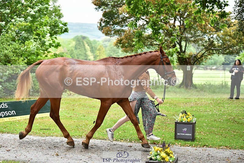 240522-163444-01019 - 212-RIVERSTOWN_ROYAL-Georgie_Frow