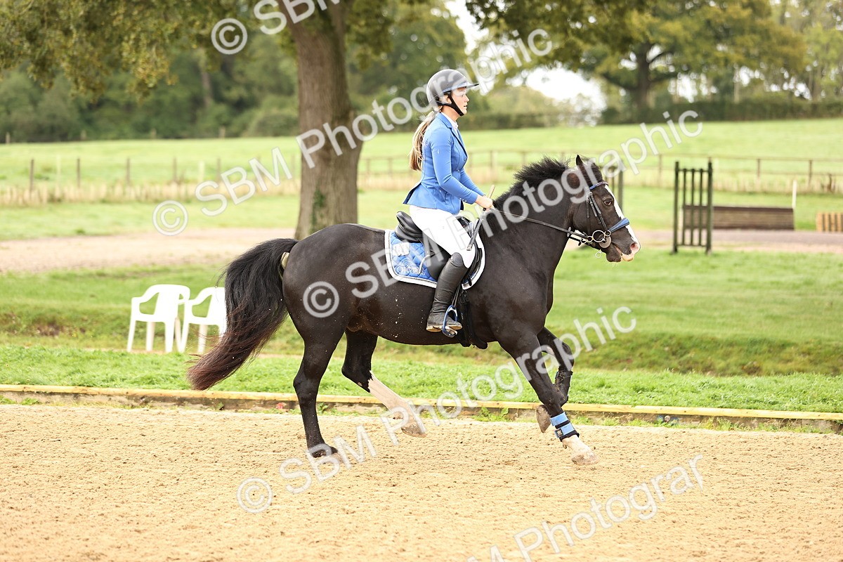 SBM_58253 - J41 - Grand Tour Horse & Pony 95cm