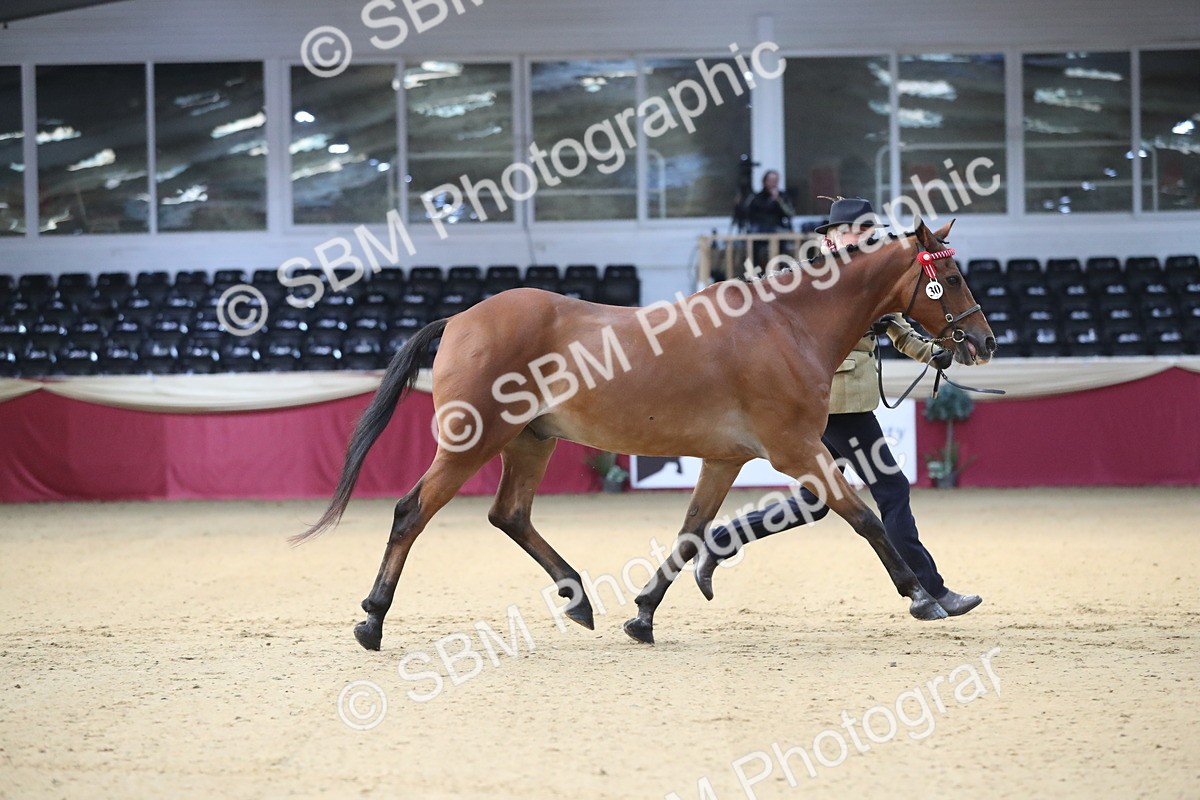 SBM_00211 - Class 1a - Area IH Diamond