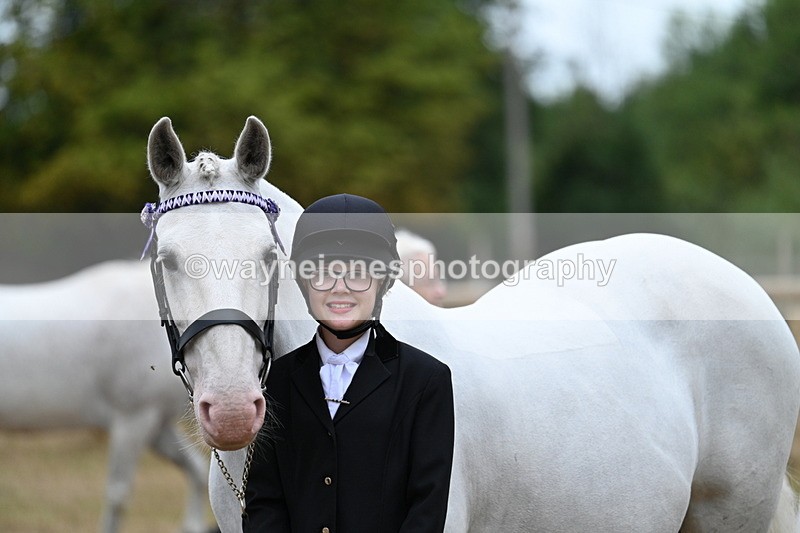 WJ7_9223 - Class 4a Prettiest Mare 14.2hh and over