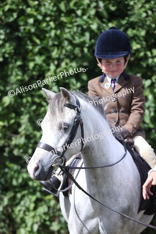 20250831-2718 - Class 17 - Lead Rein Pony