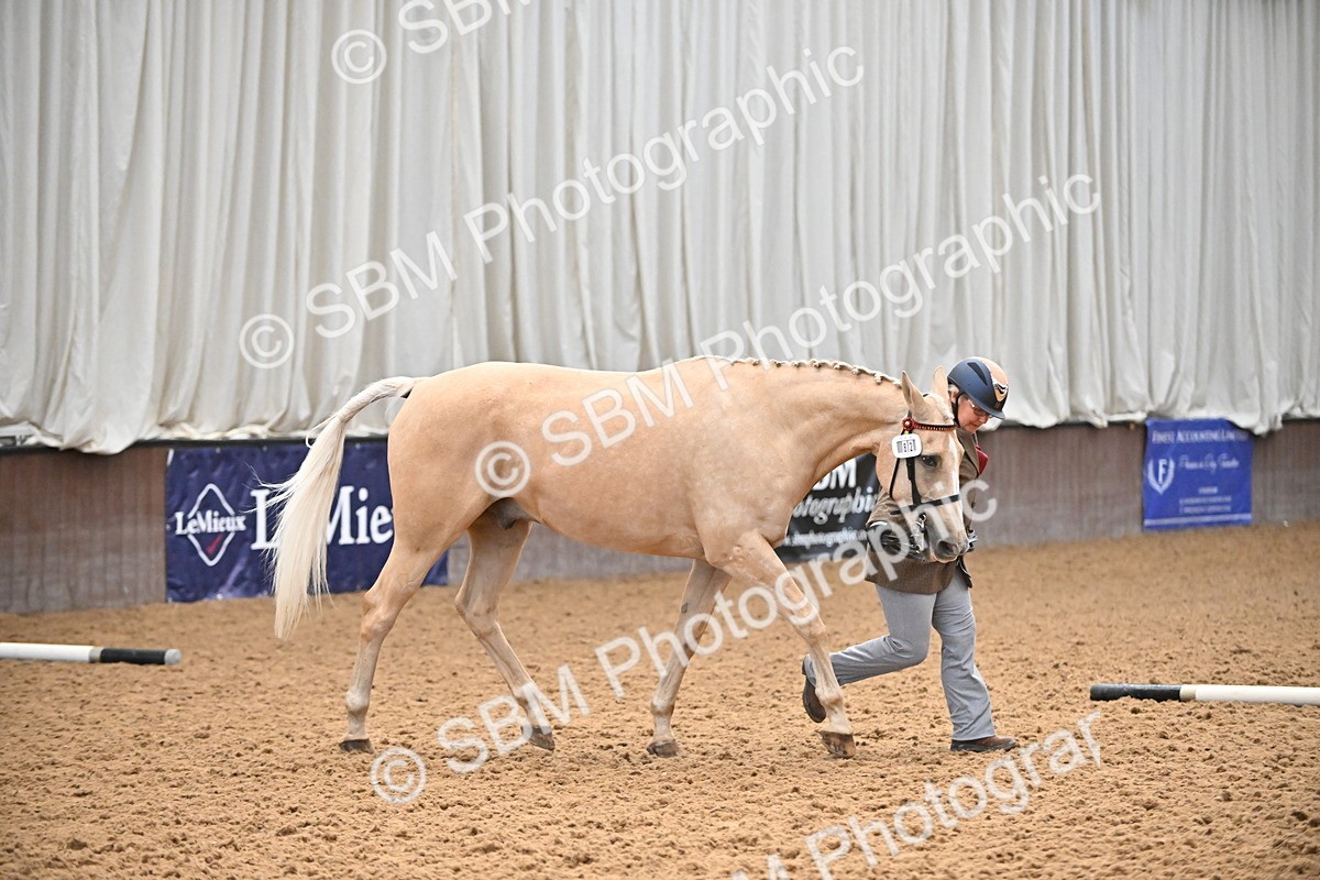 SBM_000669 - Class 11,12,13 - SSADL In Hand Seniors