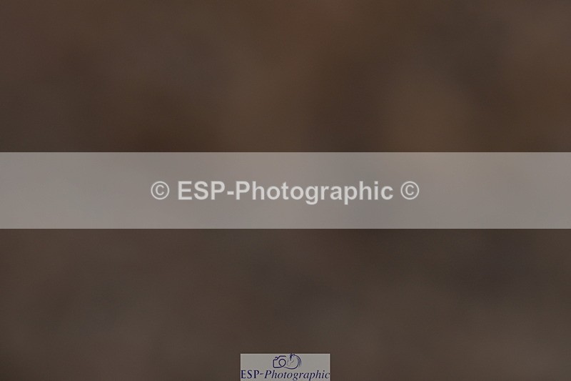 231104A-104541-00154 - Cls 4 Novice 22