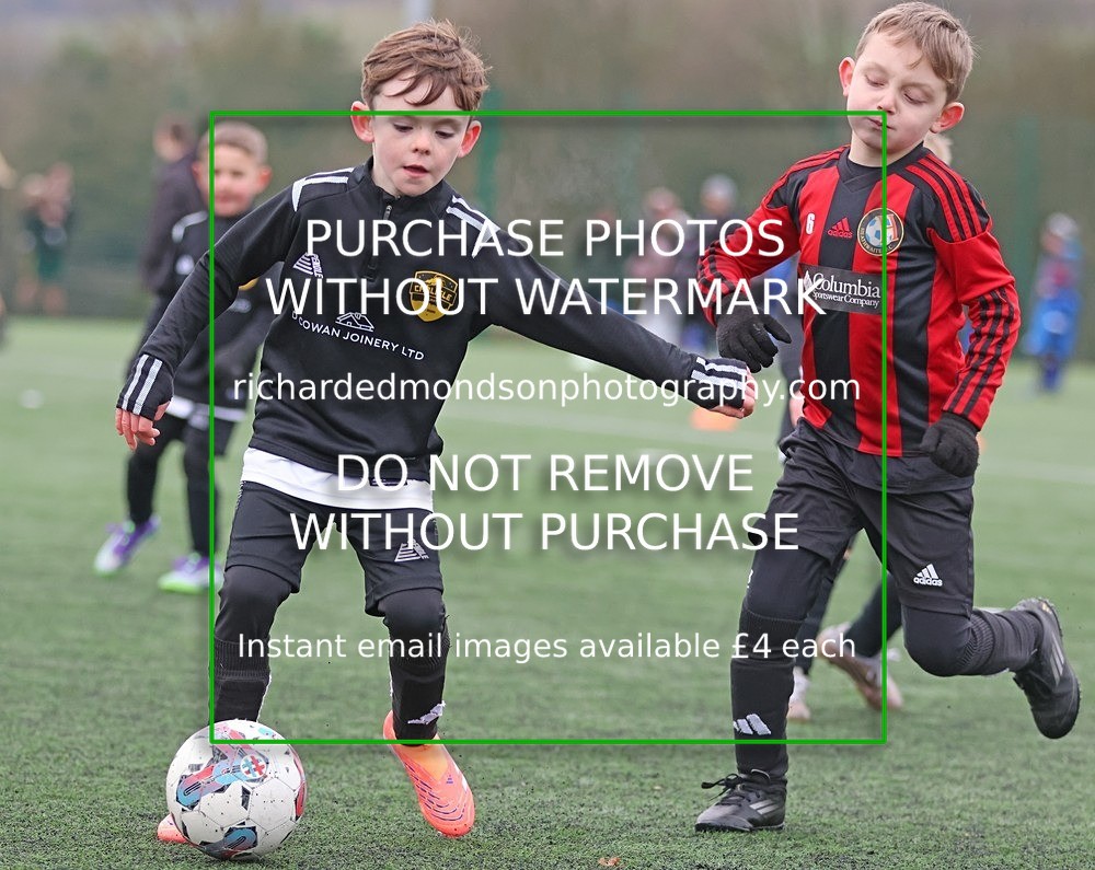 533A9450 - Carlisle Galaxy