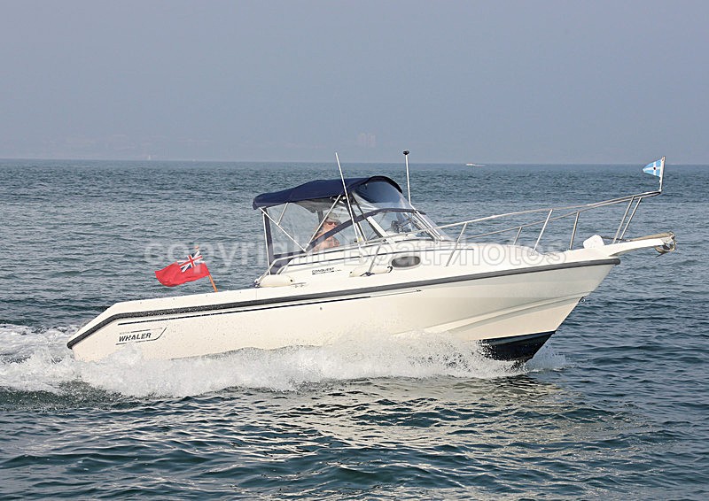 140907 COCOBOLA BOSTON WHALER WT7A5603 - Motorboats - Open