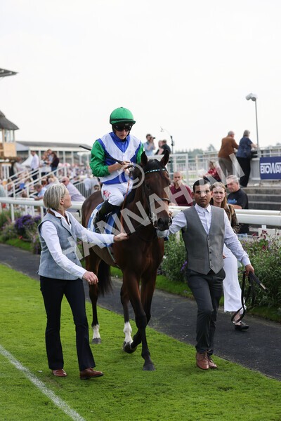 yr05092021r4-16 - Race 4 3.45pm Coopers Marquees British EBF Future Stayers' Novice Stakes